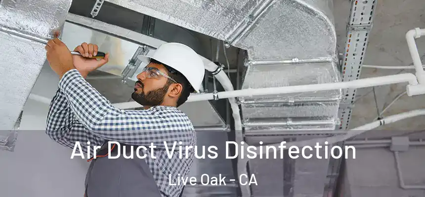  Air Duct Virus Disinfection Live Oak - CA