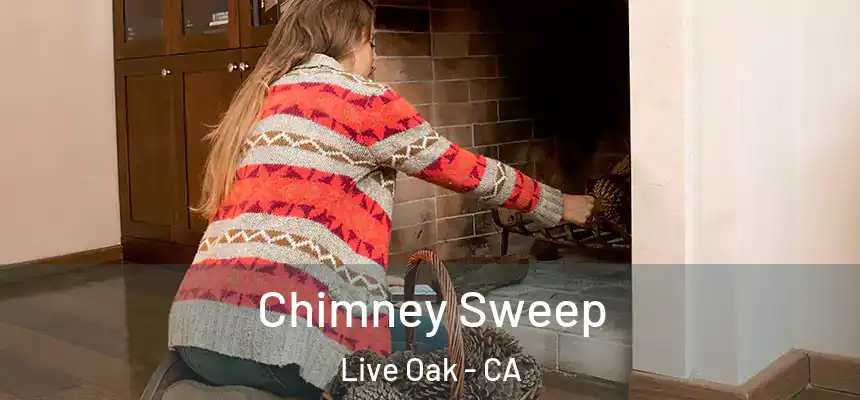  Chimney Sweep Live Oak - CA