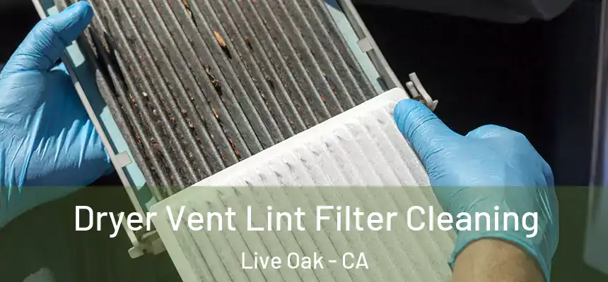  Dryer Vent Lint Filter Cleaning Live Oak - CA