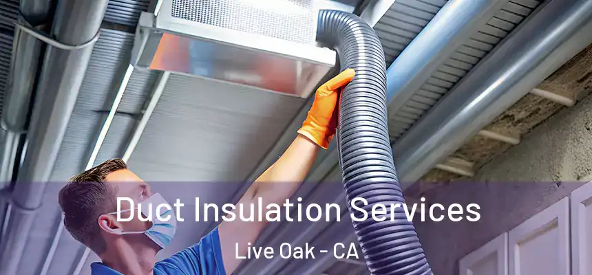  Duct Insulation Services Live Oak - CA