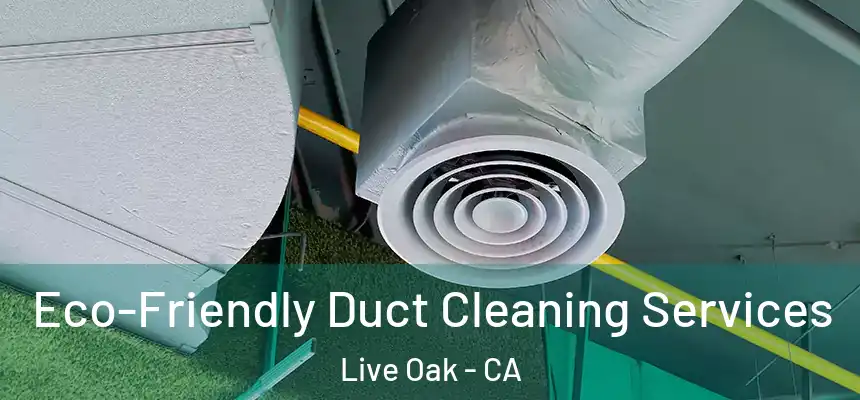  Eco-Friendly Duct Cleaning Services Live Oak - CA