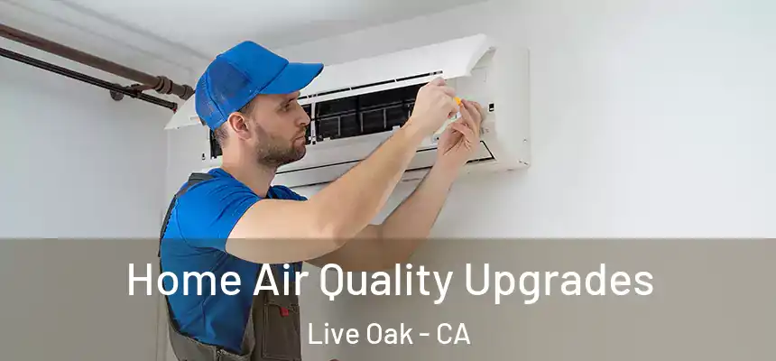  Home Air Quality Upgrades Live Oak - CA