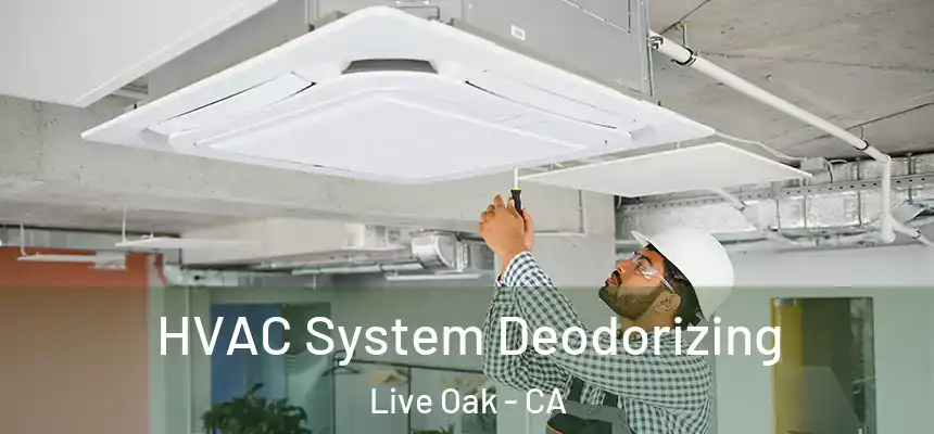 HVAC System Deodorizing Live Oak - CA