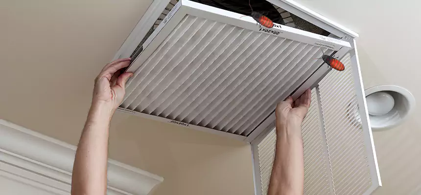 Our Insect Removal from Air Ducts Services in Live Oak, CA