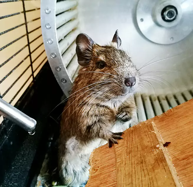 Why Homeowners & Businesses Trust Us Live Oak, CA